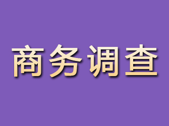 余江商务调查